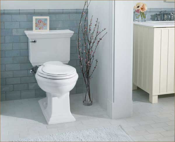 bathroom-toilet-remode